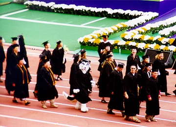 Some guy always dresses up as a Husky at a UW graduation